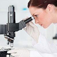 Máster en Nutrición y Biotecnología Alimentaria