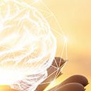 Máster en Neuropsicología