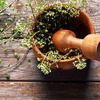 Máster en Ciencias Naturopáticas