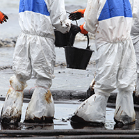 Máster en Gestión y Auditorías Ambientales con Especialidad en Contaminación Marina