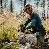 Máster en Gestión y Auditorías Ambientales con Especialidad en Gestión y Conservación de los Espacios Naturales