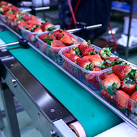 Máster en Ingeniería Industrial con Especialidad en Agroindustria